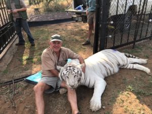 Animals-4-x-960.jpg December 11, 2017 374 KB 1280 × 959 Edit Image Delete Permanently URL http://www.kwevoel.co.za/wp-content/uploads/2017/12/Animals-4-x-960.jpg