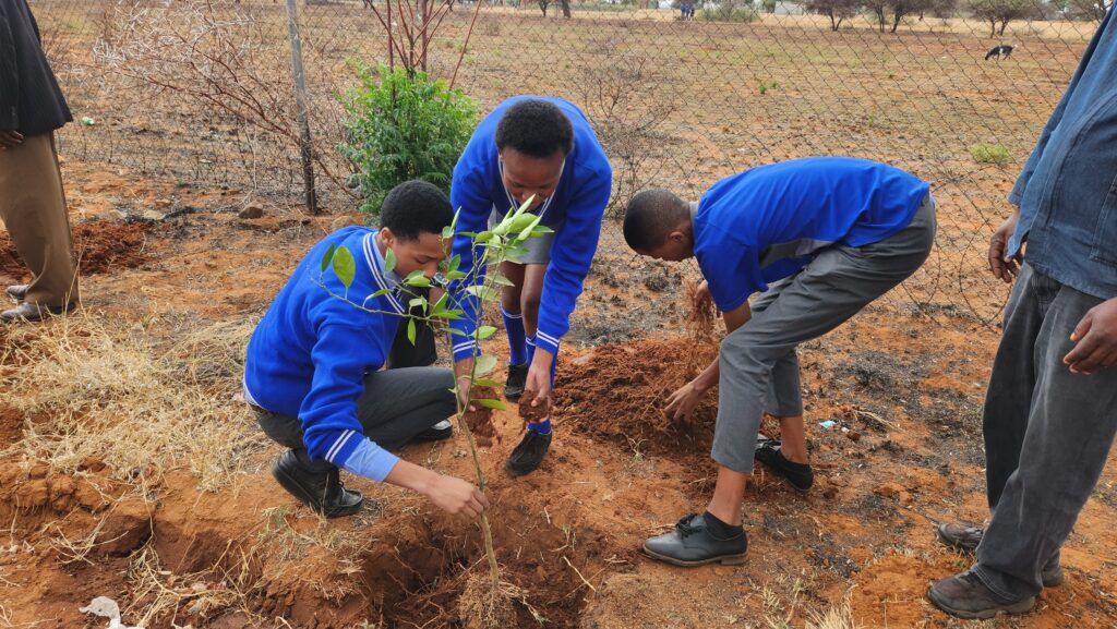 2023 Nov 1 Saai Leerders van Jan Masibi Sekondêre Skool plant 'n boom